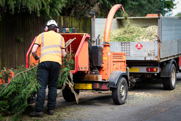 Best Fruit Tree Pruning  in Darlington, WI